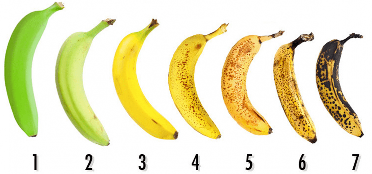 Différents types de bananes