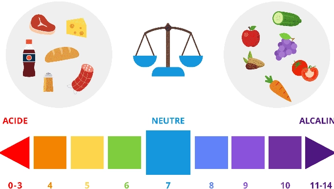 equilibre acido basique complement alimentaire